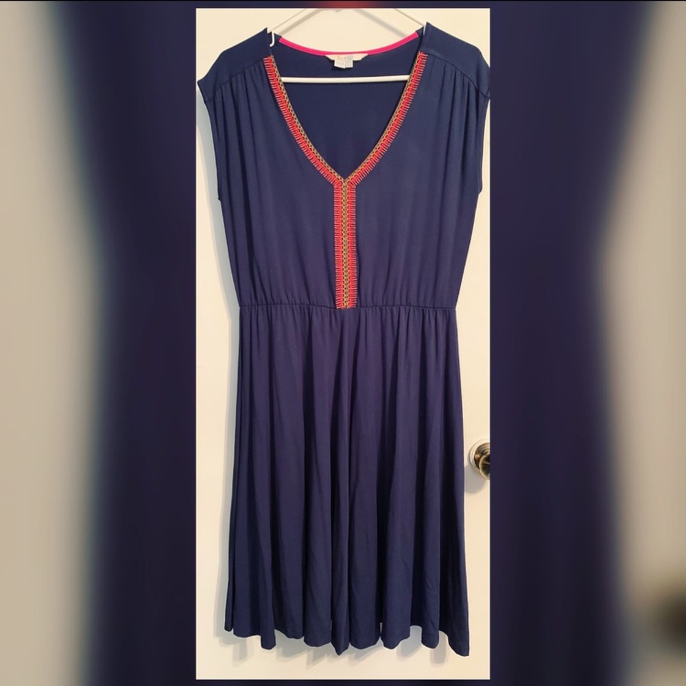 Biden Cotton Embroidered Dress